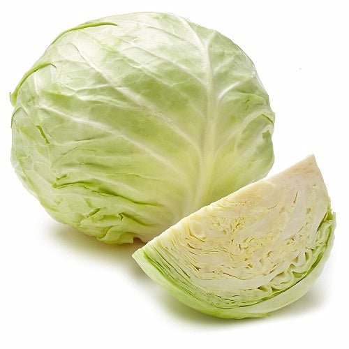 Cabbage White - ملفوف أبيض