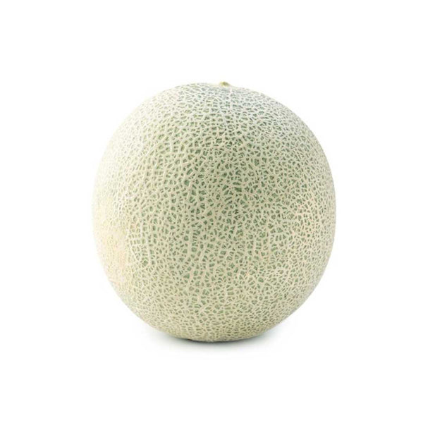 Melon Rock (GCC) - شمّام