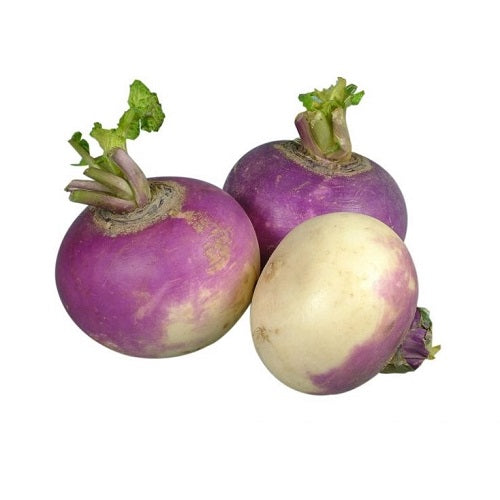turnip - GCC