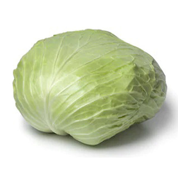 Cabbage Red GCC