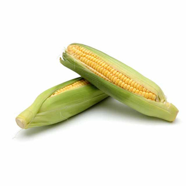 Corn Sweet - UAE - ذرة حلوه