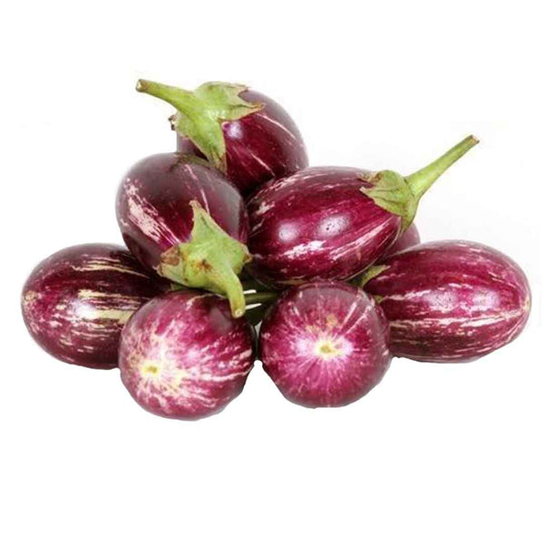 Eggplant Baby kg - Oman - باذنجان صغير