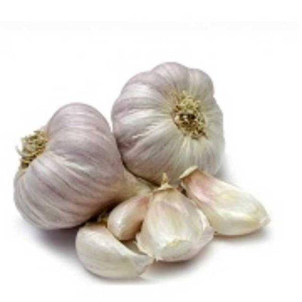 Garlic - India - ثوم